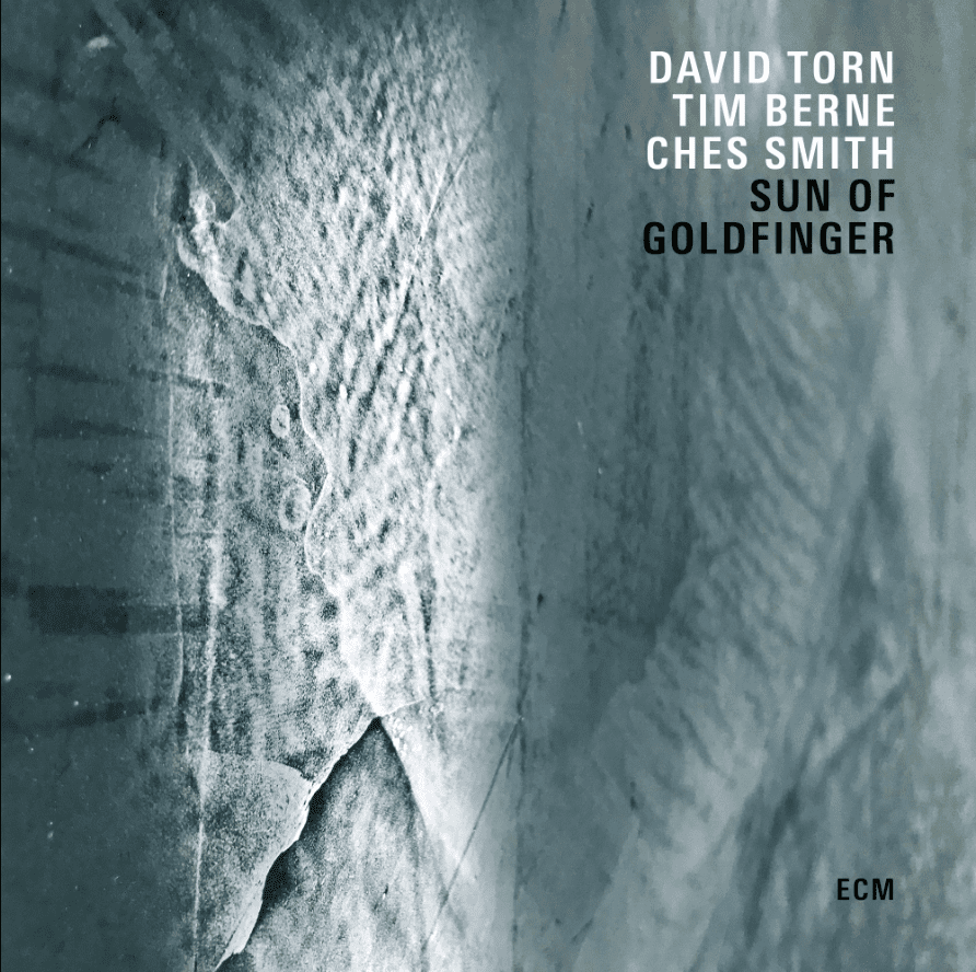 DAVID TORN, TIM BERNE, CHES SMITH-SUN OF GOLDFINGER